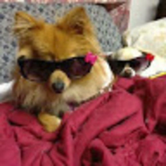 Meet your Posher, Ire - Picture 1 of 1